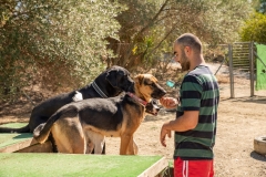 20181005-153859-SOS-Animals-Malaga-Spain-4172-5mpx-70qp-nomark