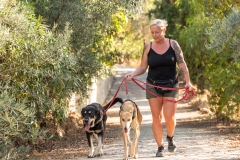 20181007-174746-SOS-Animals-Malaga-Spain-5315-5mpx-70qp-nomark