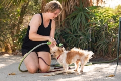 20181007-175129-SOS-Animals-Malaga-Spain-5339-5mpx-70qp-nomark